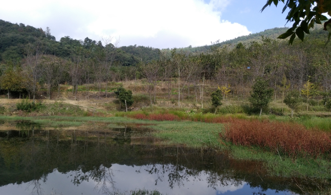 探秘发现 云南省安宁王家小院 生态庄园 有山有水有菌捡