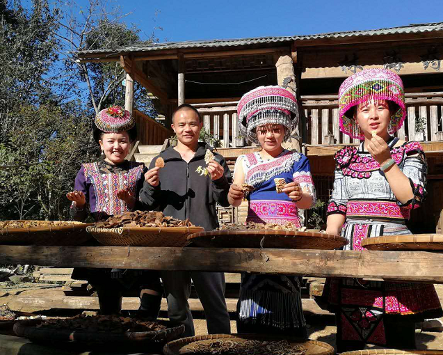 环球在线新闻&nbsp;2017中国（昆明）国际养生养老产业博览会在昆明市国际会展中心隆重开幕&nbsp;400多家养生养老企业机构齐聚昆明&nbsp;共促云南文山“银发产业”发展