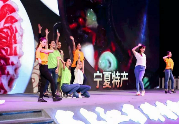 环球在线新闻&nbsp;创新沉浸式体验模式，宁夏开启2018全域旅游营销年