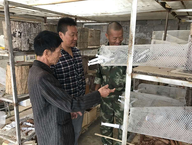 环球在线新闻 满怀感恩之心 心系山区乡亲 ——云南保山养蜂达人、军队转业干部吴仕平
