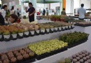 环球在线新闻 花开七彩云南，绽放‘一带一路’国际两会一展，促进多方共赢