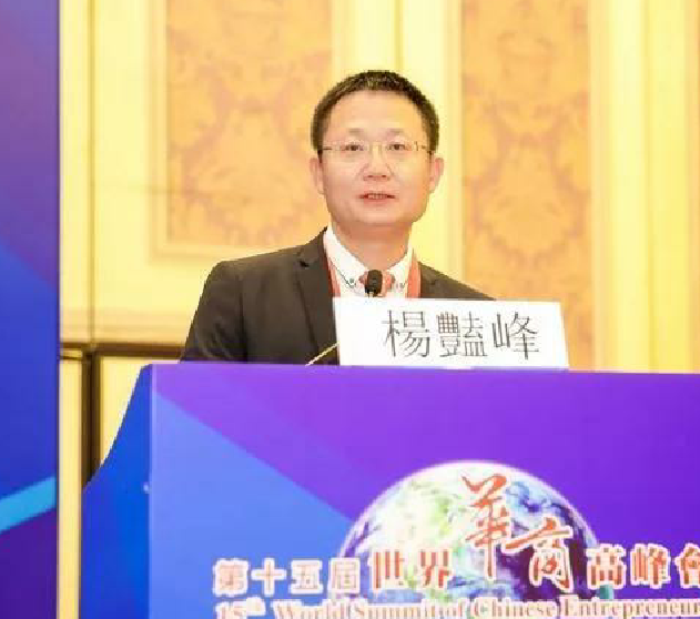 环球在线新闻 杨艳峰荣获2018世界杰出青年华商奖！
