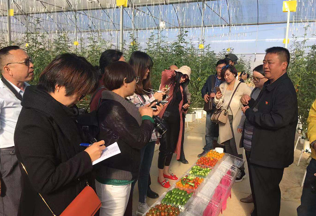 环球在线新闻&nbsp;系列一&nbsp;攻坚克难，奋力作为，坚决打赢脱贫攻坚决胜战&nbsp;云南省文山州砚山县者腊乡脱贫攻坚工作情况汇报