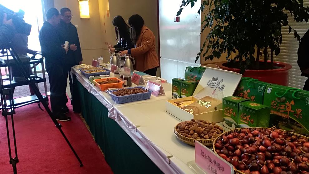 环球在线新闻“绿色云品 美好共享”系列新闻发布会“十大名药材”篇发布会