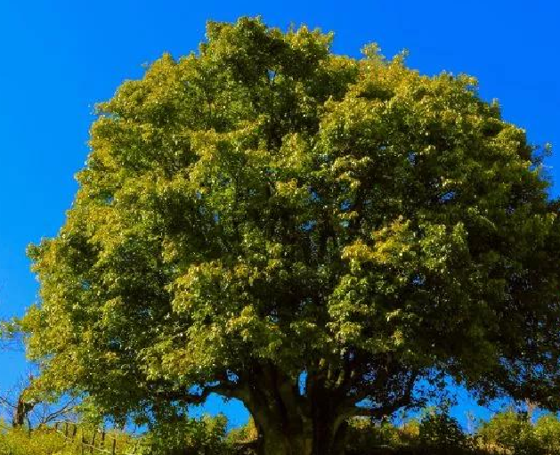 环球在线新&nbsp;深度&nbsp;|&nbsp;临沧：砥砺奋进&nbsp;奏响发展强音