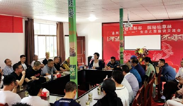 环球在线新闻 【五一我在岗】 来安龙深山 带您识铁皮石斛