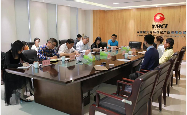 环球在线新闻 昆明经开区党工委书记赵学锋率队调研云南城投集团紫云青鸟