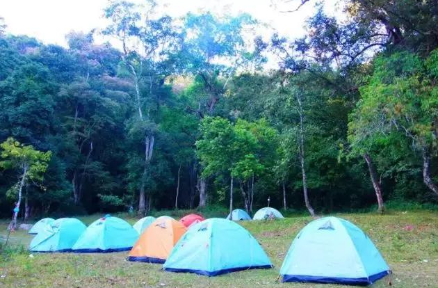 环球在线新闻&nbsp;环球记者探访西双版纳系列一&nbsp;2019景迈山探秘营：老达保音乐小镇快乐拉祜之旅！