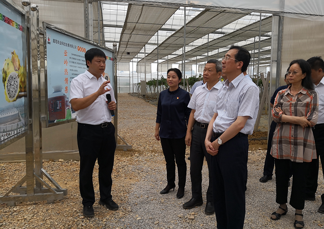 环球在线新闻 环球探秘之一“全国科普示范基地”云南省文山州砚山县鑫珵农业科技发展有限公司以“带动百姓致富”为目标，坚持“绿色”发展理念