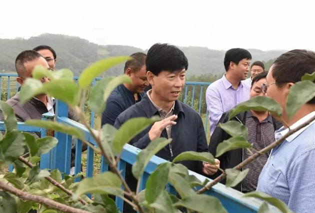 环球在线新闻 杨亚林强调:突出区域特色 用现代产业理念打造苹果品牌