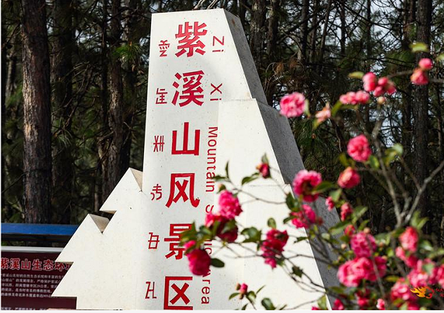 云南省楚雄紫溪山风景区恢复开放！戴上口罩，去拥抱自然……