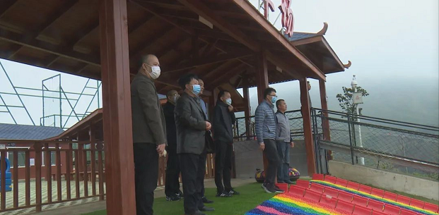 云南省文山州旅游产业专题调研组到富宁调研