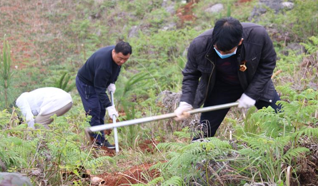 云南省红河州蒙自市总工会携手劳模植绿助力创文