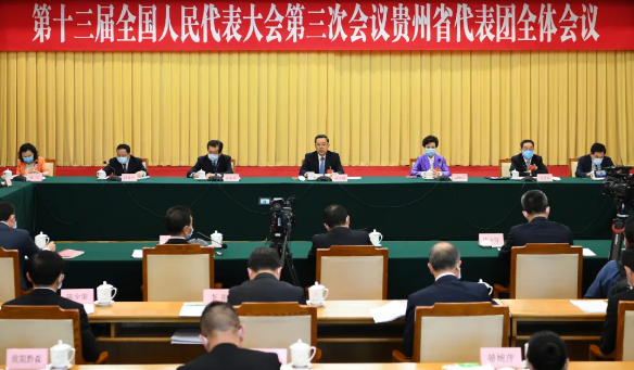贵州代表团审议政府工作报告