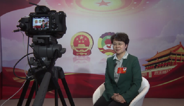 【两会声音】张秀兰：已有343万吨绿色铝产能落地云南省文山 规划总产值不低于2500亿