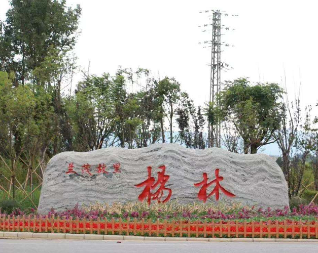 “桃”宝来杨林，“云上”甜一夏 云南省昆明市嵩明杨林第三届桃文化节线上活动在杨林镇大树营拉开了帷幕