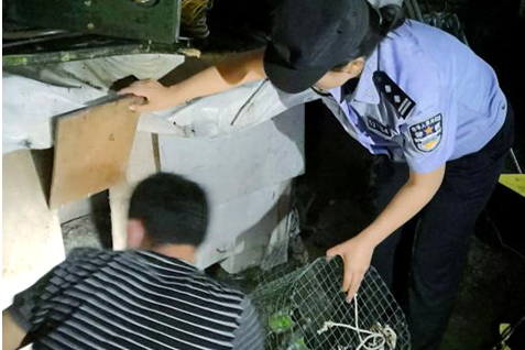 警民联手救助夜闯民宅负伤豹猫