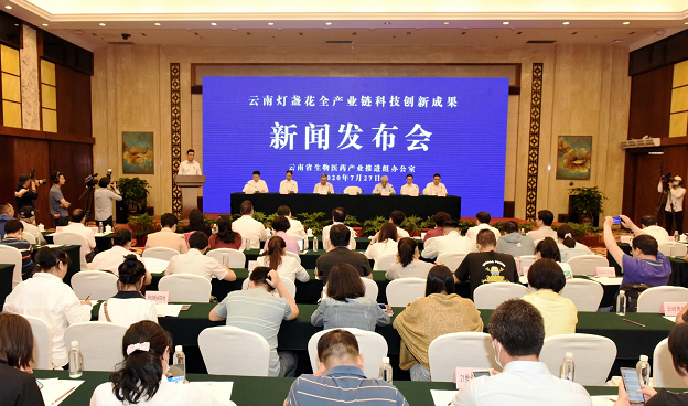 云南灯盏花全产业链科技创新成果 新闻发布今天启航