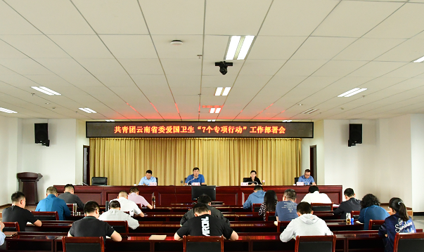 共青团云南省委召开爱国卫生“7个专项行动”工作部署会