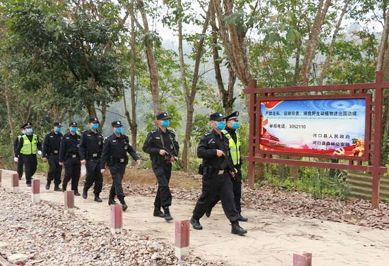 严打破坏野生动物资源违法犯罪 为生态文明排头兵建设保驾护航