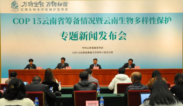 丝路云裳•七彩云南2020云上民族赛装文化节及创意云南2020云上文化产业博览会新闻发布会在昆明召
