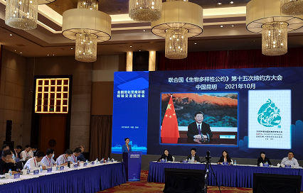 营商环境优化提升最快  “昆明模式”亮相全国