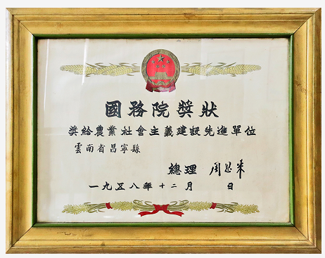【奋斗百年路 启航新征程】 昌宁：一张奖状，激活农业发展的“永动机”
