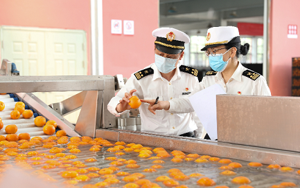 昆明海关：严把食品安全国门关 守护阳光下的盘中餐