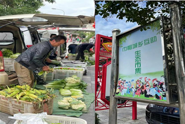 松华街道妇联联合雄达茶城 开展生态市集巾帼志愿活动