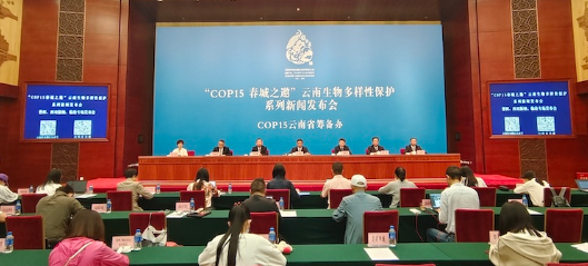 云南生物多样性保护系列新闻发布会•普洱、西双版纳、临沧专场发布在昆明召开