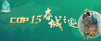 卫星见证，“彩云之南”惊艳世界