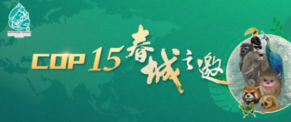 全文来了！习近平在《生物多样性公约》第十五次缔约方大会领导人峰会上的主旨讲话