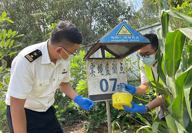 昆明海关有效保障国门生物安全  1—9月截获有害生物180种6071次