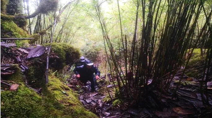 13人、24小时、43公里，一次穿越原始森林的巡逻