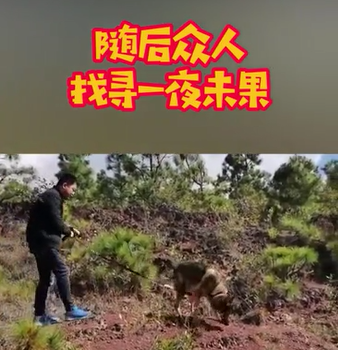 【警犬被老乡要求加鸡腿啦！】