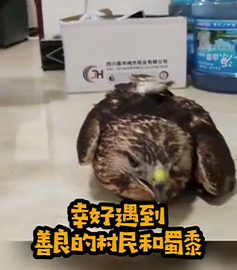 【派出所来了位“稀客”！】