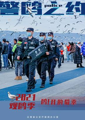 这场警鸥之约，蜀黍从未失约！