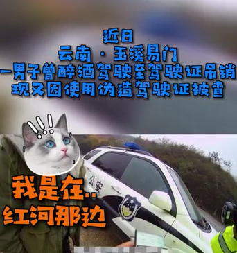男子“醉驾”致驾驶证吊销 使用假证二次“落网”