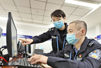 山茶花盛放在山城国门