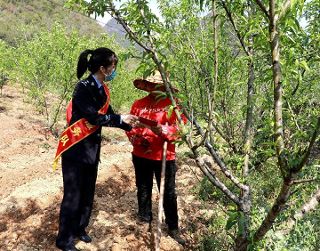 坡脚站延伸服务触角送法进田间 让普法沾点“土味”