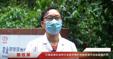 环球在线直播:  中国大陆最早引种咖啡的地方 瑞丽