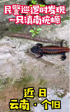 环球在线直播: 红娃娃外出迷路，蜀黍助其回家