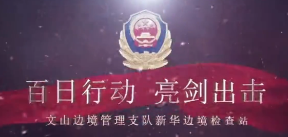 夏季治安打击整治“百日行动”