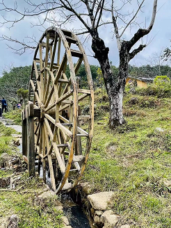 凤庆县二道河村:激发群众内生动力助力乡村振兴