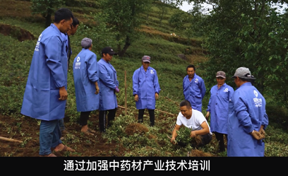 云县临沧国家可持续发展议程创新示范区系列专题之  延伸滇龙胆产业链  助推“云药之乡” 奋进新征程  临沧市科学技术局  云县工业和科技信息化局