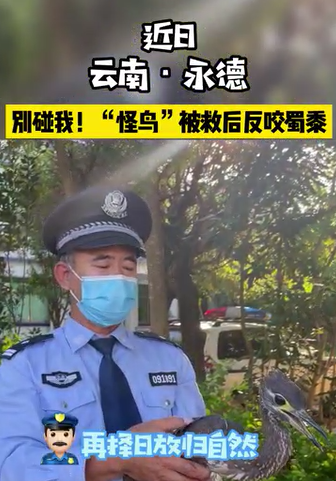 别碰我！“怪鸟”被救后反咬蜀黍