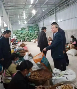 围绕特色产业  帮助农民致富 大力发展农民专业合作社推动产业振兴