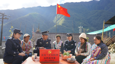 这里的草果不仅有“户口”还能上“保险”！
