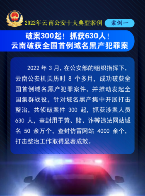 劲爆！2022年云南公安十大典型案例发布