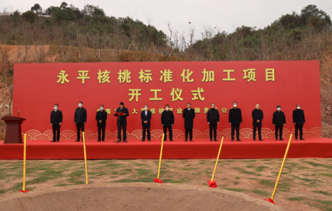 1.3亿元核桃标准化加工项目落户大理永平
